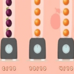 Fruit Sort Fiesta